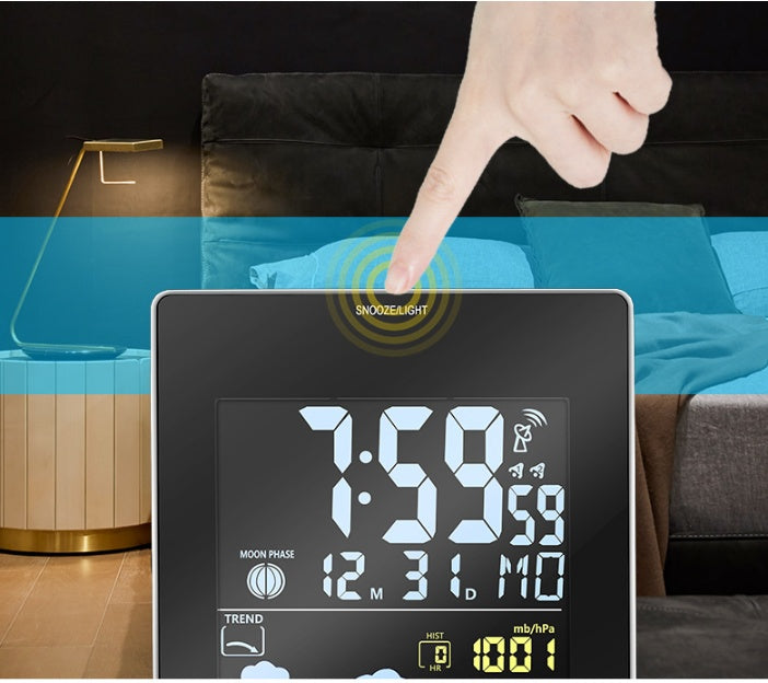 Electronic thermometer and hygrometer